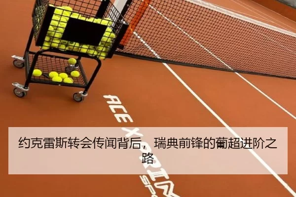 约克雷斯转会传闻背后，瑞典前锋的葡超进阶之路