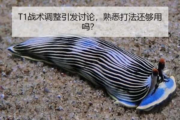 zhan-shu-tiao-zheng-yin-fa-tao-lun-shu-xi-da-fa-hai-gou-yong-ma-2-816.jpg